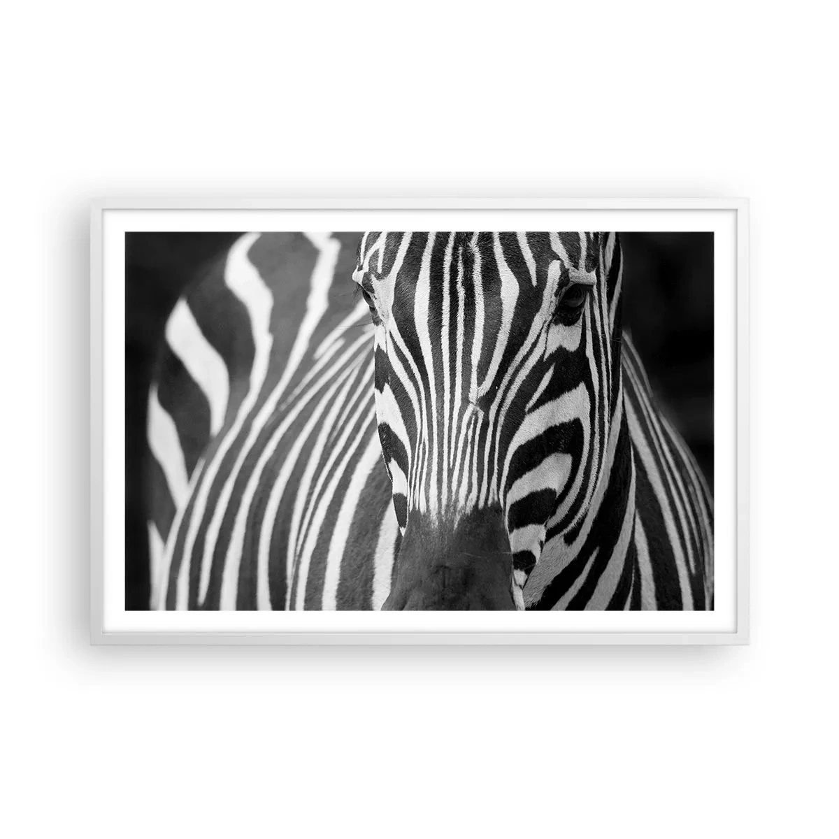 Affisch i vit ram - Världen är svart-vit - 91x61 cm