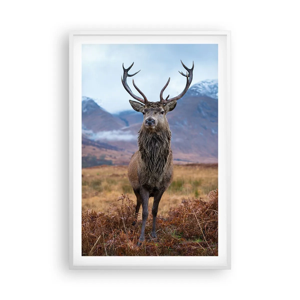 Affisch i vit ram - På egen mark - 61x91 cm