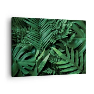 Canvastavla - Bild på duk - Gröna tropiska blad i en tät och naturlig komposition - 70x50cm - Omgärdade av grönskan - Modern väggdekoration för vardagsrum och sovrum ARTTOR