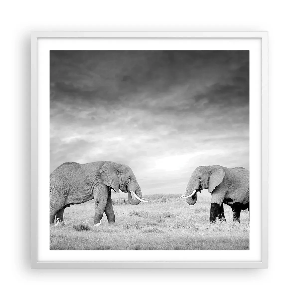 Affisch i vit ram - Grått är vackert - 60x60 cm