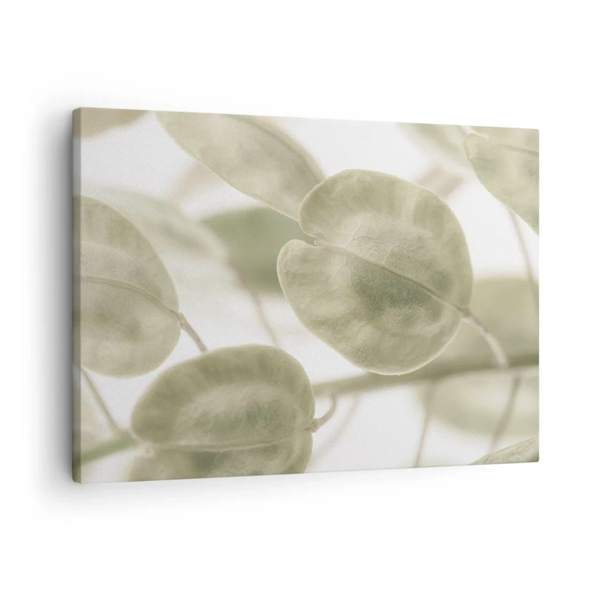 Canvastavla - Bild på duk - En delikat målning av löv i pastellgröna nyanser mot en ljus bakgrund. - 70x50cm - I början fanns det löv... - Modern väggdekoration för vardagsrum och sovrum ARTTOR