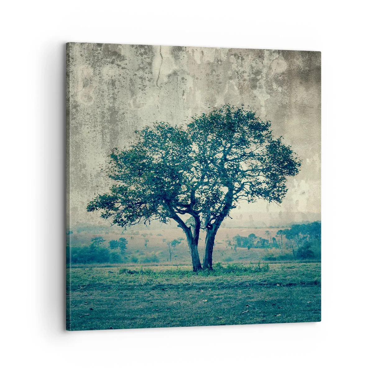Canvastavla - Bild på duk - Äppelträd på blå betesmark? - 60x60 cm