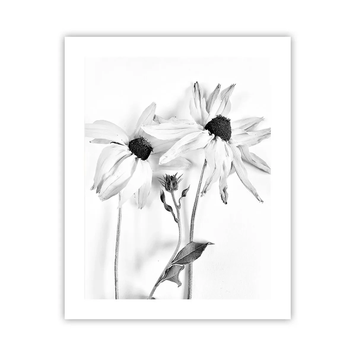 Affisch - Ingen vill vara ensam - 40x50 cm