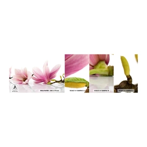Provbit av självhäftande fototapet Deluxe Sticker - Lätta som vårkänslan - Blomma, Magnolia, Natur - 100x30 cm