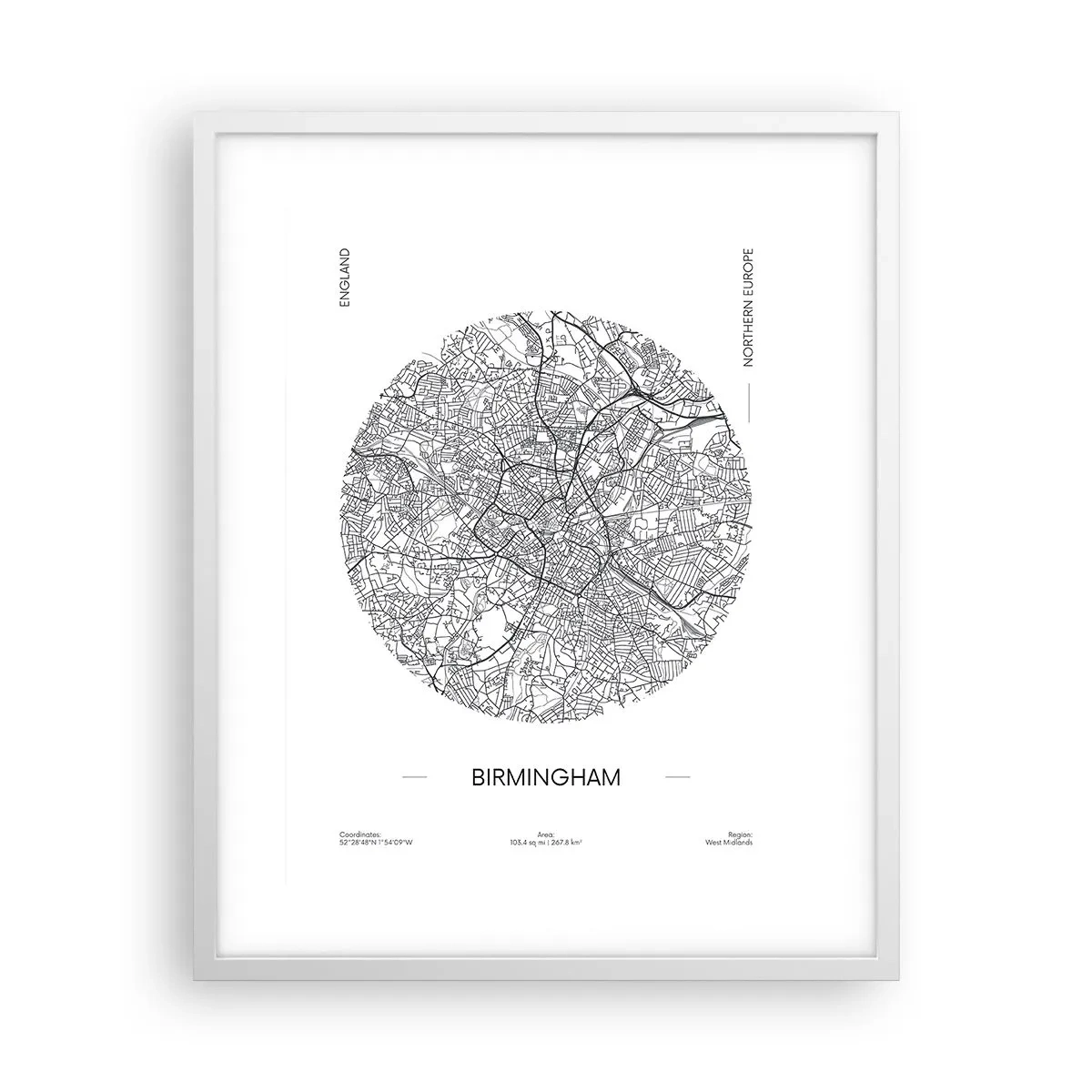 Affisch i vit ram - Birminghams anatomi - 40x50 cm