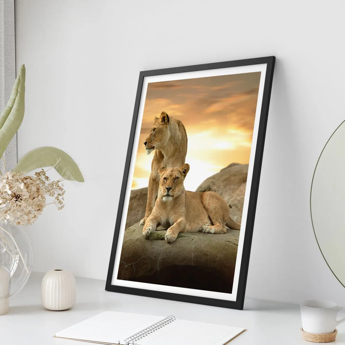 Affisch i svart ram - Två lejoninnor mot den nedgående solen - 50x70cm - Kungligt majestät - Modern väggdekoration för vardagsrum och sovrum ARTTOR