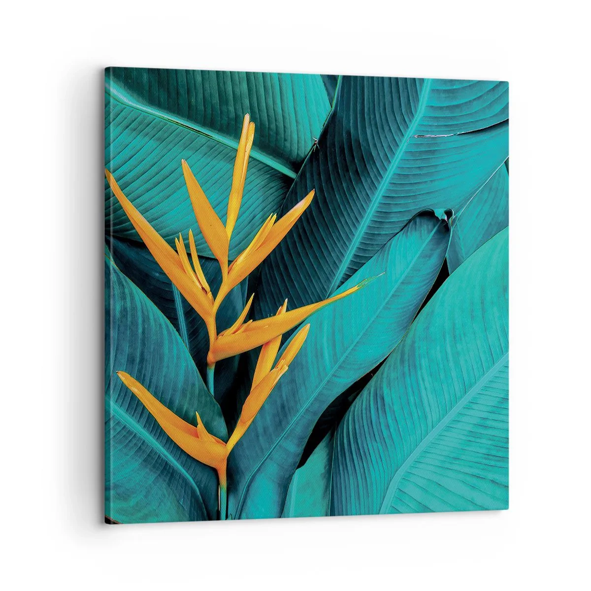 Canvastavla - Bild på duk - Edens blomma - 60x60 cm