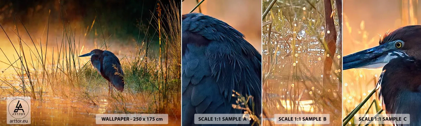 Provbit av självhäftande fototapet Deluxe Sticker - Sluta fota - Häger, Fågel, Natur - 100x30 cm