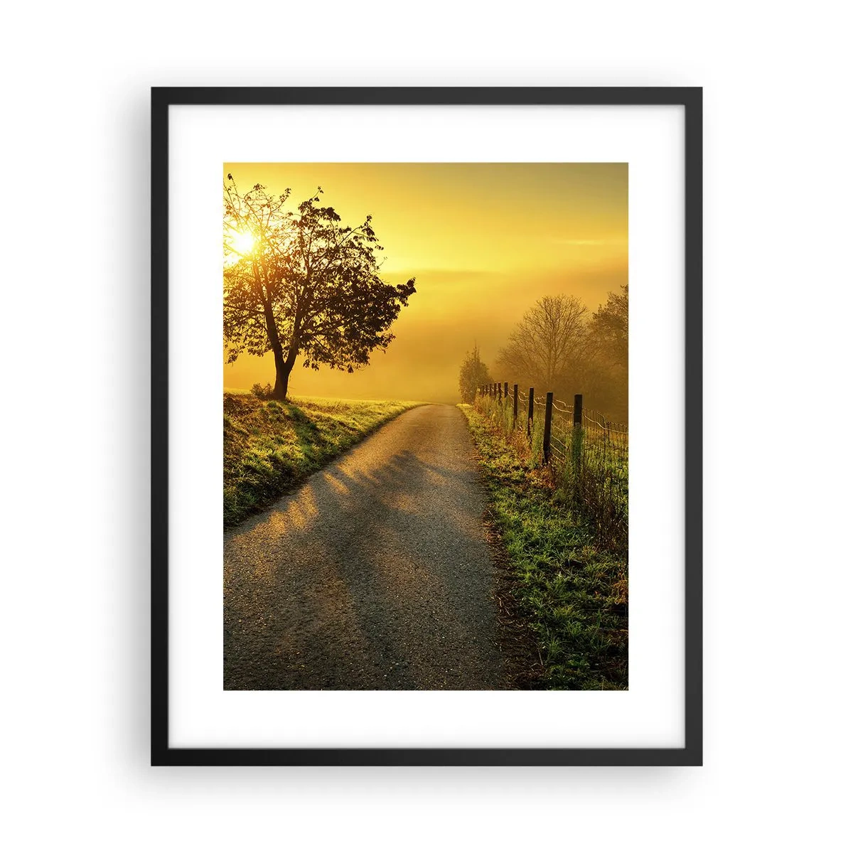 Affisch i svart ram - Honungfärgad eftermiddag - 40x50 cm