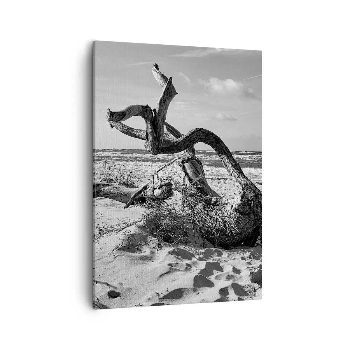Canvastavla - Bild på duk - Havets skulptur - 50x70 cm