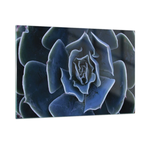 Glastavla - Bild på glas - Öknens blomma - 120x80 cm
