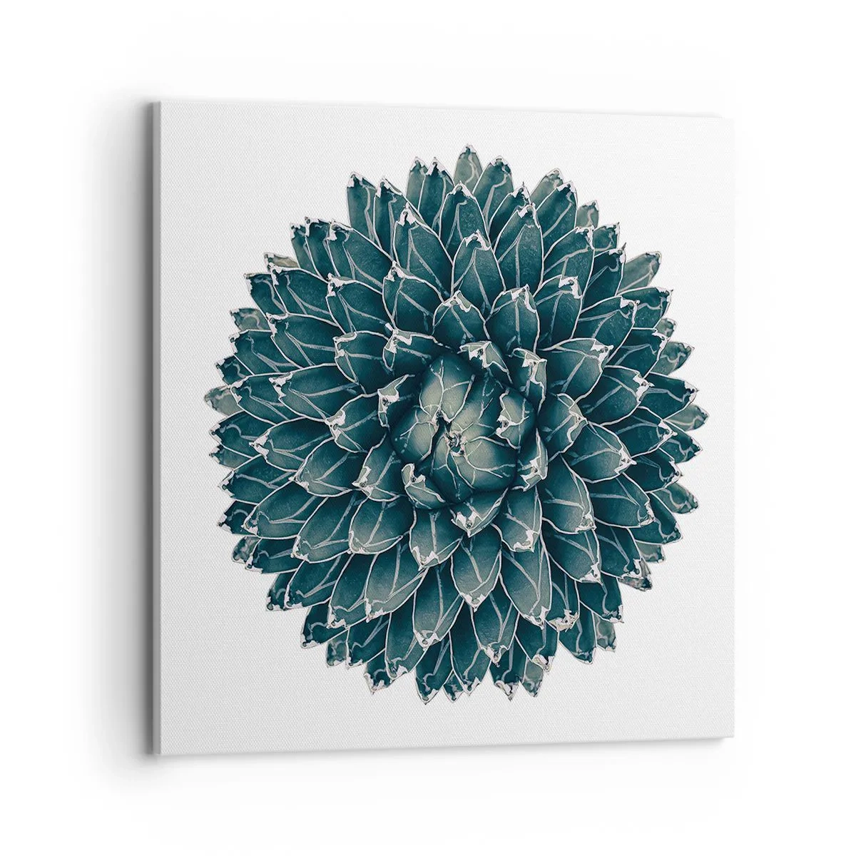 Canvastavla - Bild på duk - Öknens stjärna - 70x70 cm