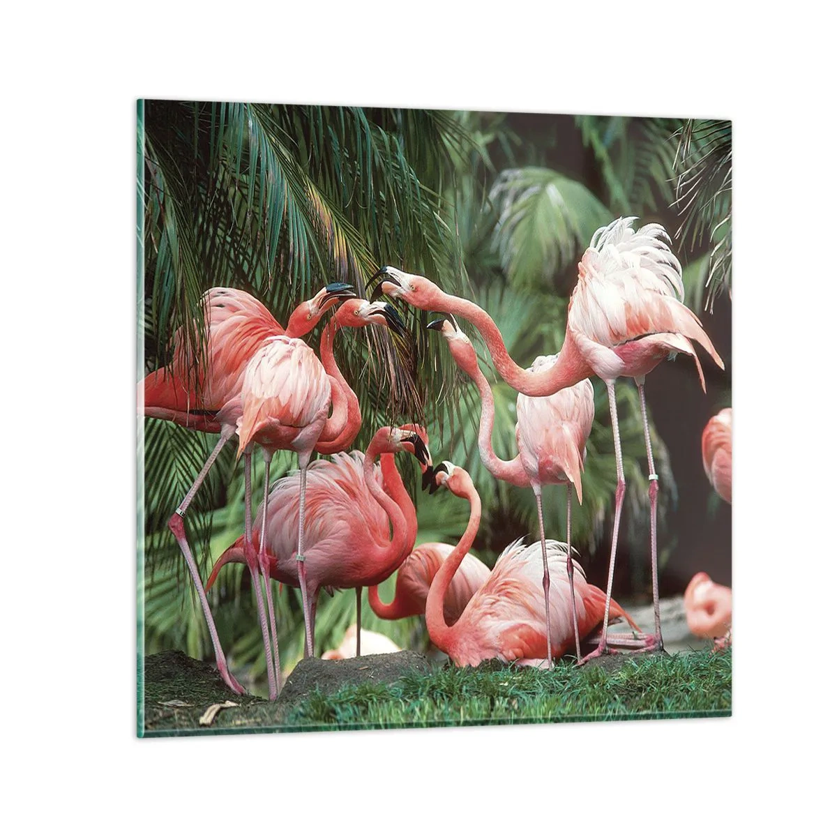 Glastavla - Bild på glas - Eftermiddags skvaller - 70x70 cm