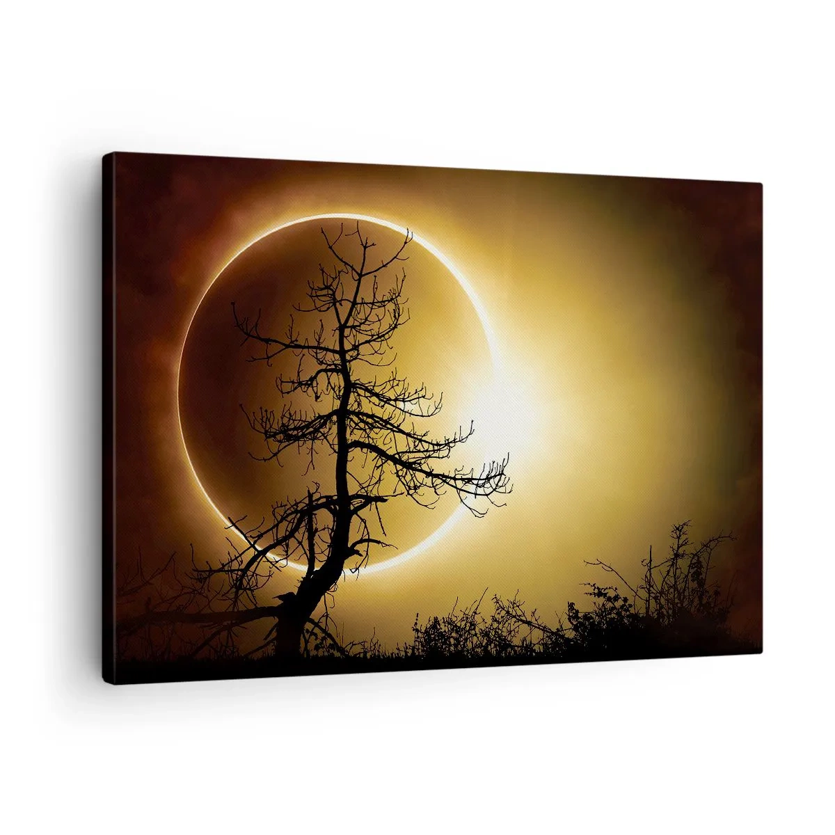 Canvastavla - Bild på duk - Solförmörkelse med en trädsilhuett i förgrunden - 70x50cm - Total förmörkelse - Modern väggdekoration för vardagsrum och sovrum ARTTOR