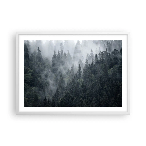 Affisch i vit ram - Gryning i skogen - 70x50 cm