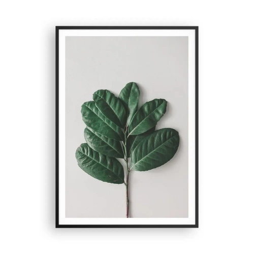 Affisch i svart ram - Själva naturens bild - 70x100 cm