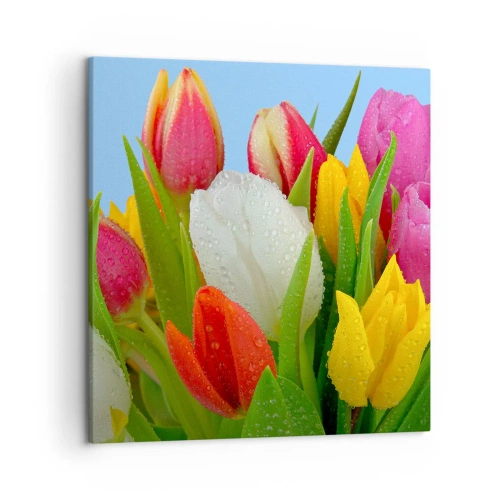 Canvastavla - Bild på duk - blommig regnbåge i daggdroppar - 50x50 cm