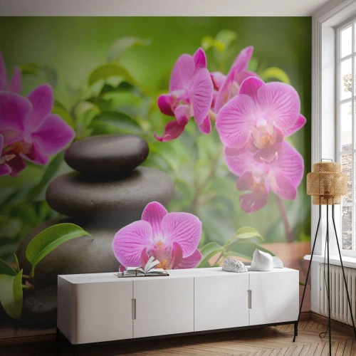 Självhäftande Fototapet Deluxe Sticker - Lugnets pyramid - Blommor, Orkide, Orkide - 250x175 cm