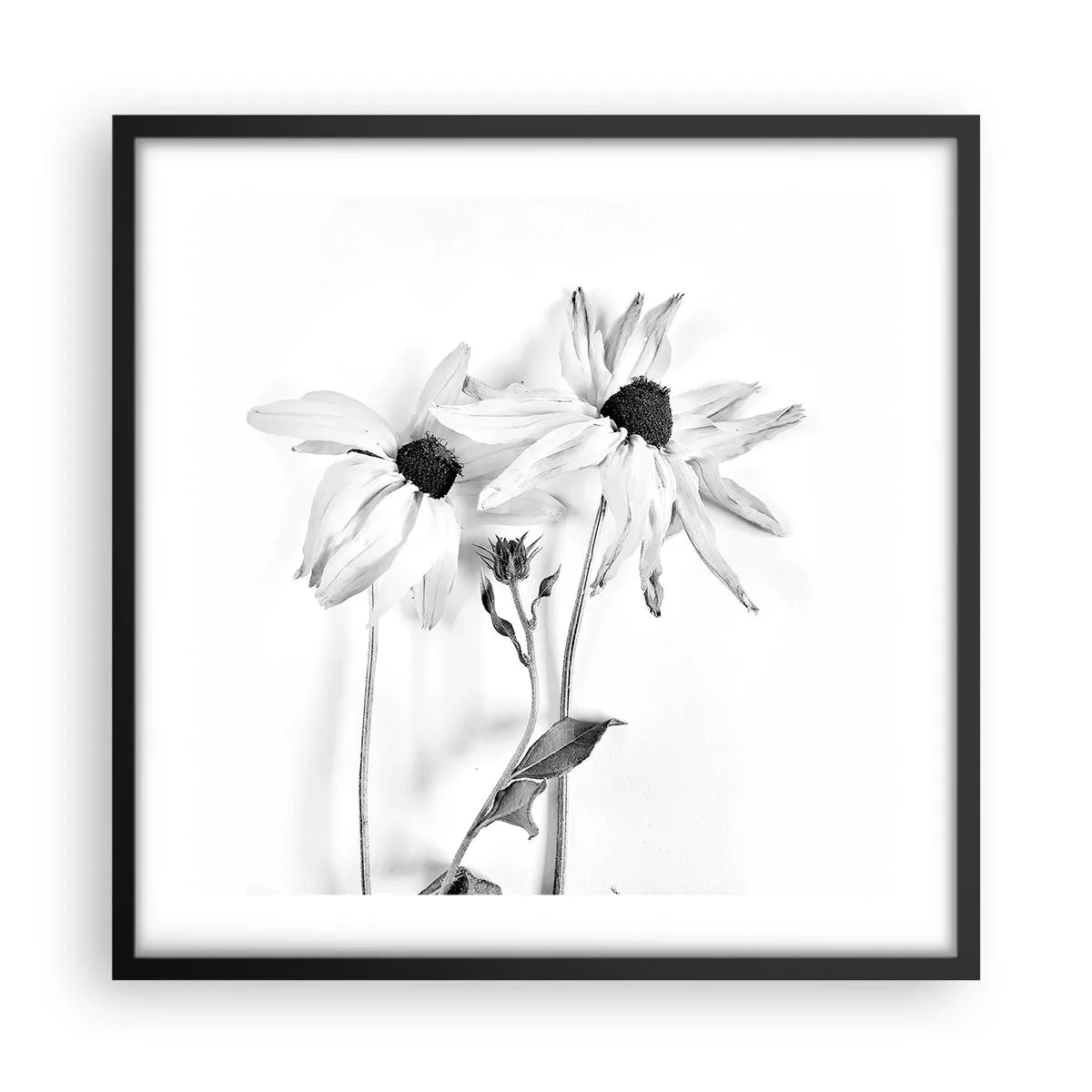 Affisch i svart ram - Ingen vill vara ensam - 50x50 cm