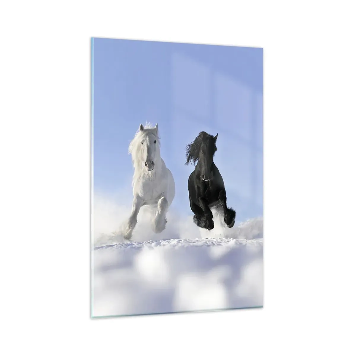 Glastavla - Bild på glas - Svart-vit galopp - 80x120 cm