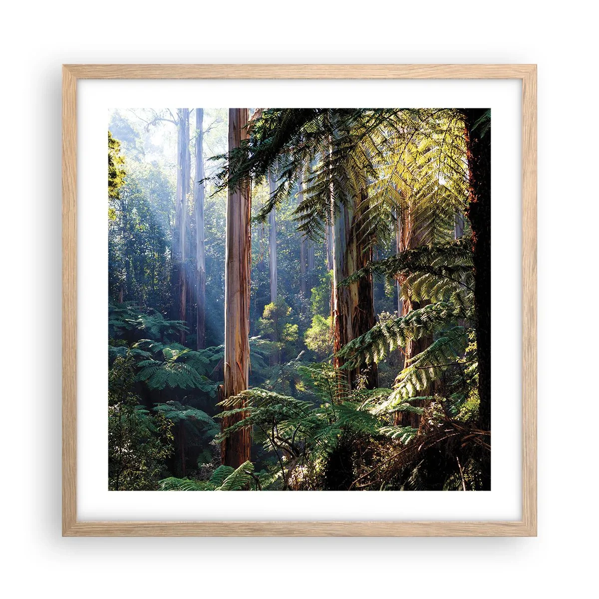 Affisch i ram av ljusek - Skogens saga - 50x50 cm