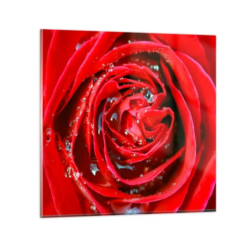 Glastavla - Bild på glas - Daggdroppar - 70x70 cm