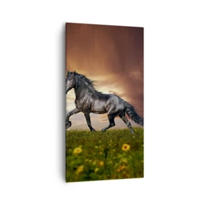 Canvastavla - Bild på duk - Svarta prinsen - 55x100 cm