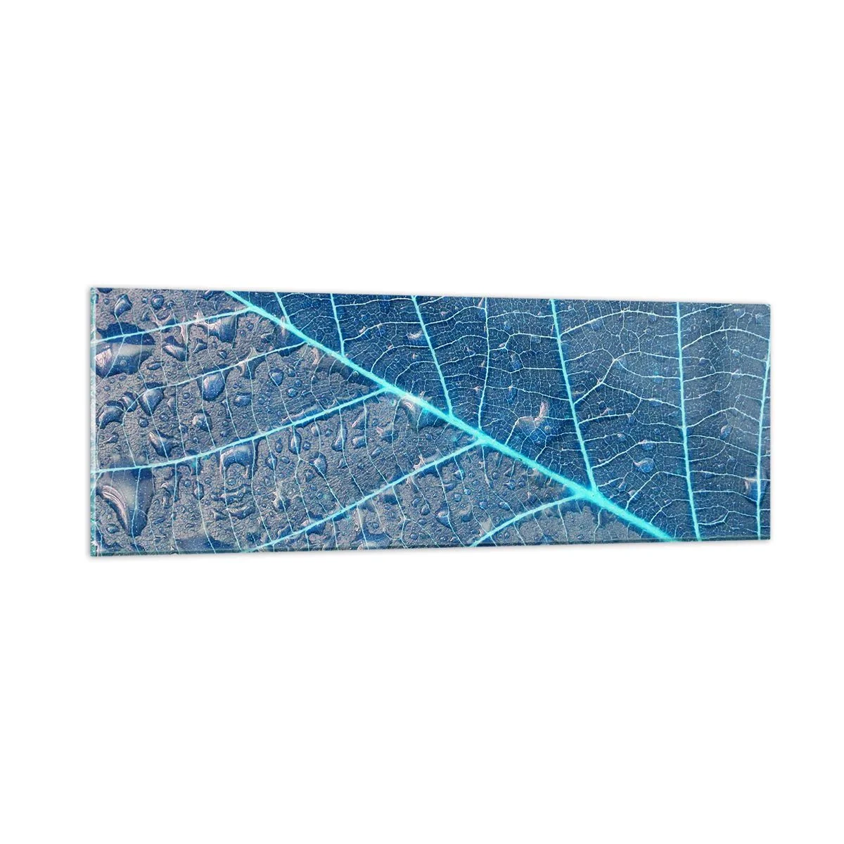 Glastavla - Bild på glas - Livet i det blåa - 90x30 cm