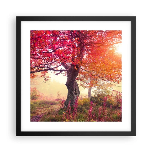 Affisch i svart ram - Våldsam blommande - 40x40 cm