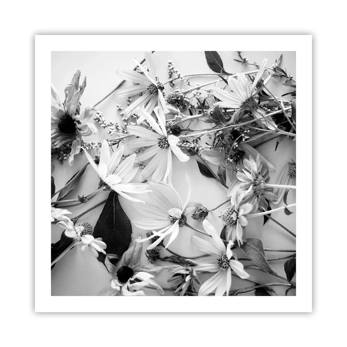 Affisch - Icke-blombukett - 60x60 cm