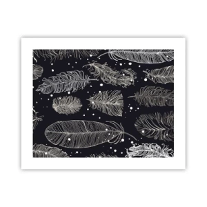 Affisch - Fjäderspets - 50x40 cm