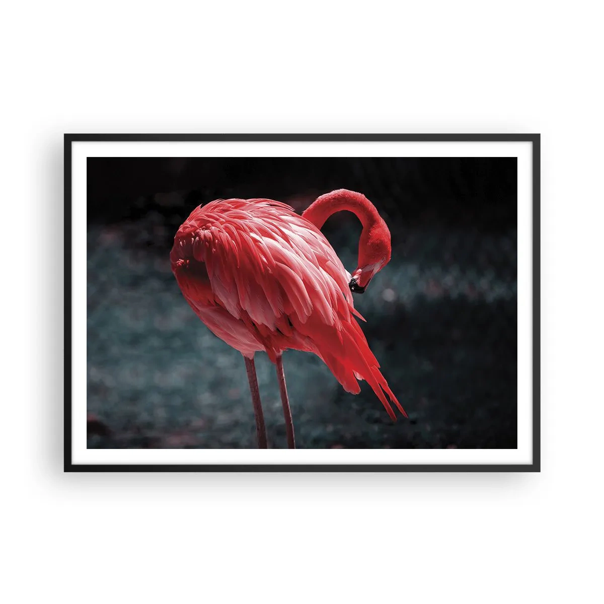 Affisch i svart ram - Djuprött naturpoem - 100x70 cm