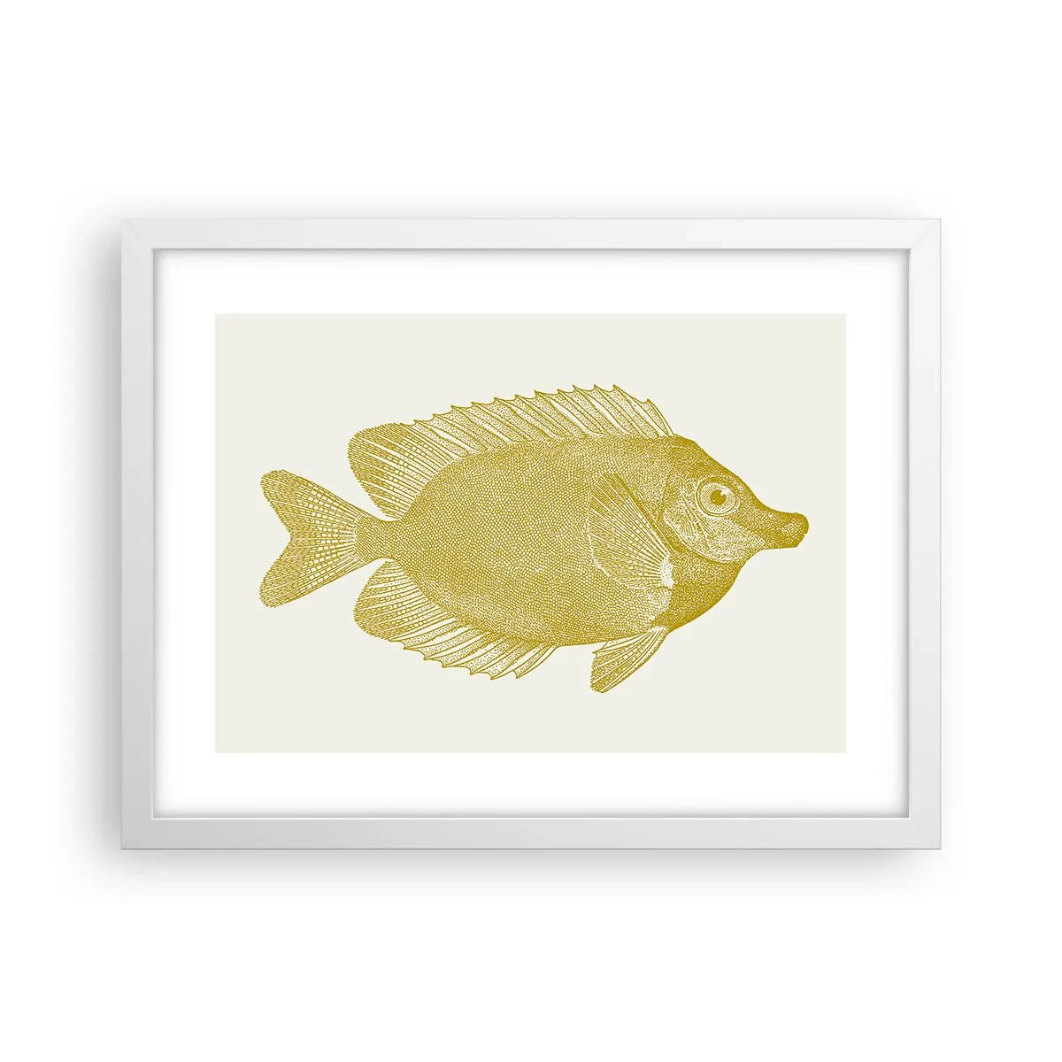 Affisch i vit ram - Fisk och det är allt - 40x30 cm
