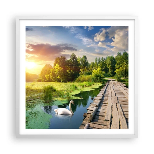 Affisch i vit ram - Sommar, sommar överallt - 60x60 cm