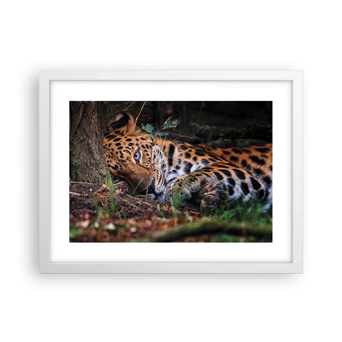 Affisch i vit ram - Tro mig - 40x30 cm