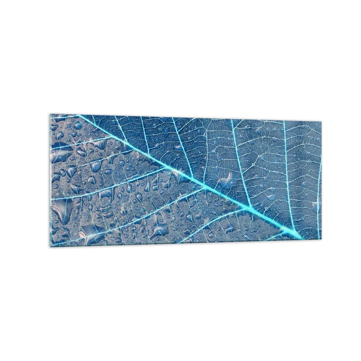 Glastavla - Bild på glas - Livet i det blåa - 120x50 cm