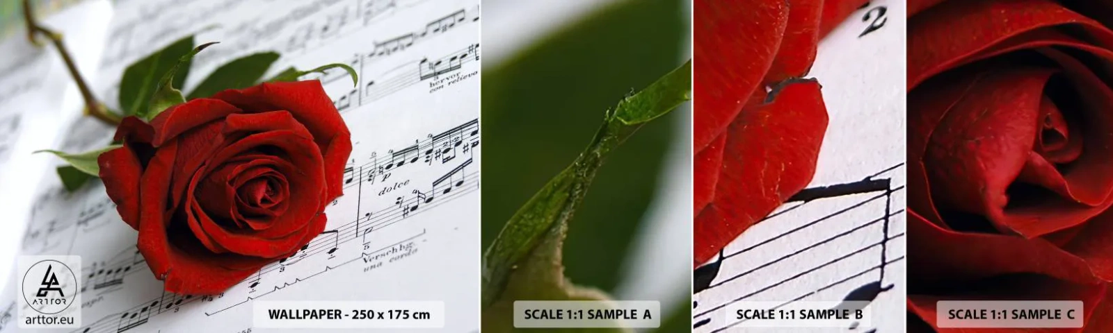 Provbit av självhäftande fototapet Deluxe Sticker - Känslornas musik i scharlakansröd - Blommor, Reste sig, musik - 100x30 cm