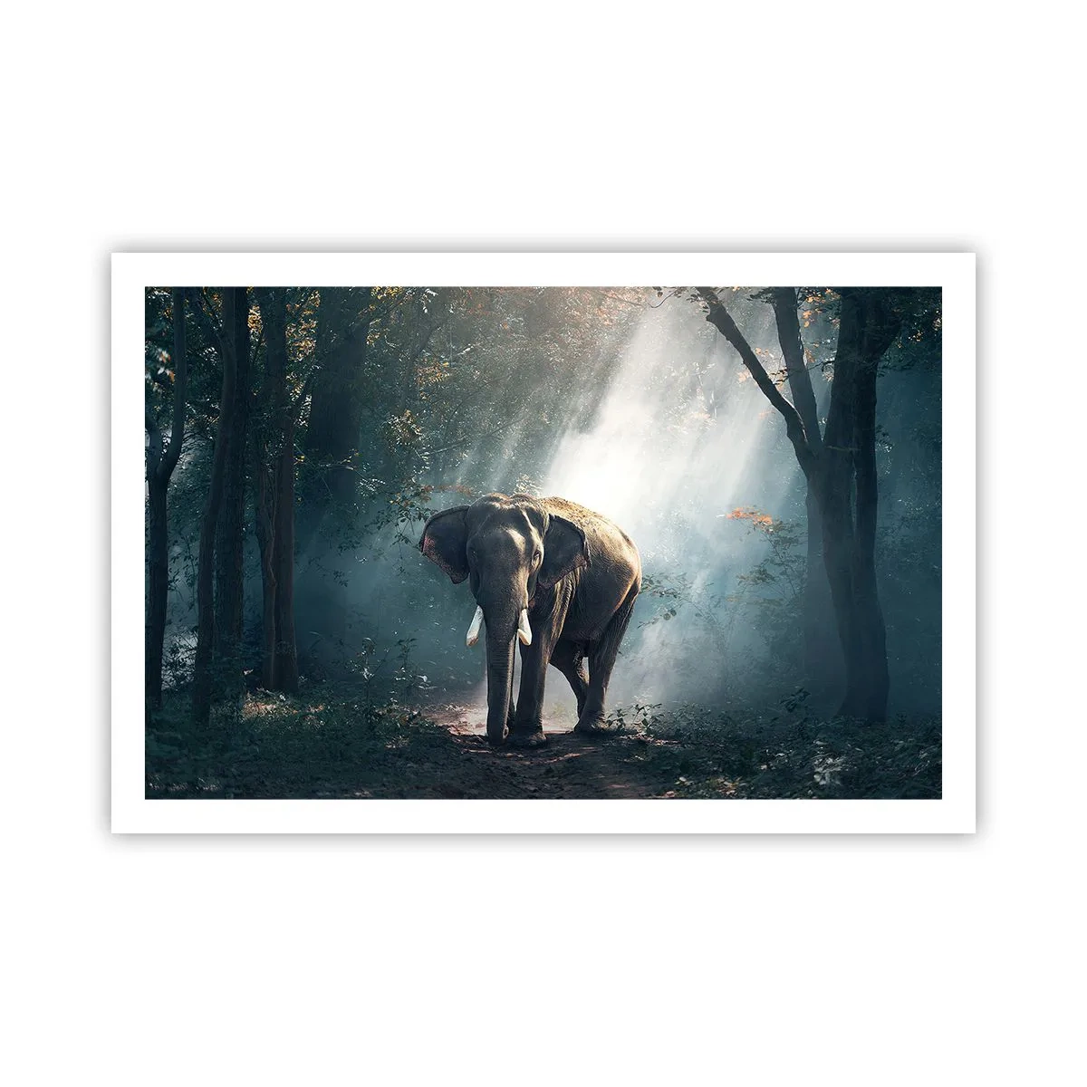 Affisch - Lugn promenad - 91x61 cm