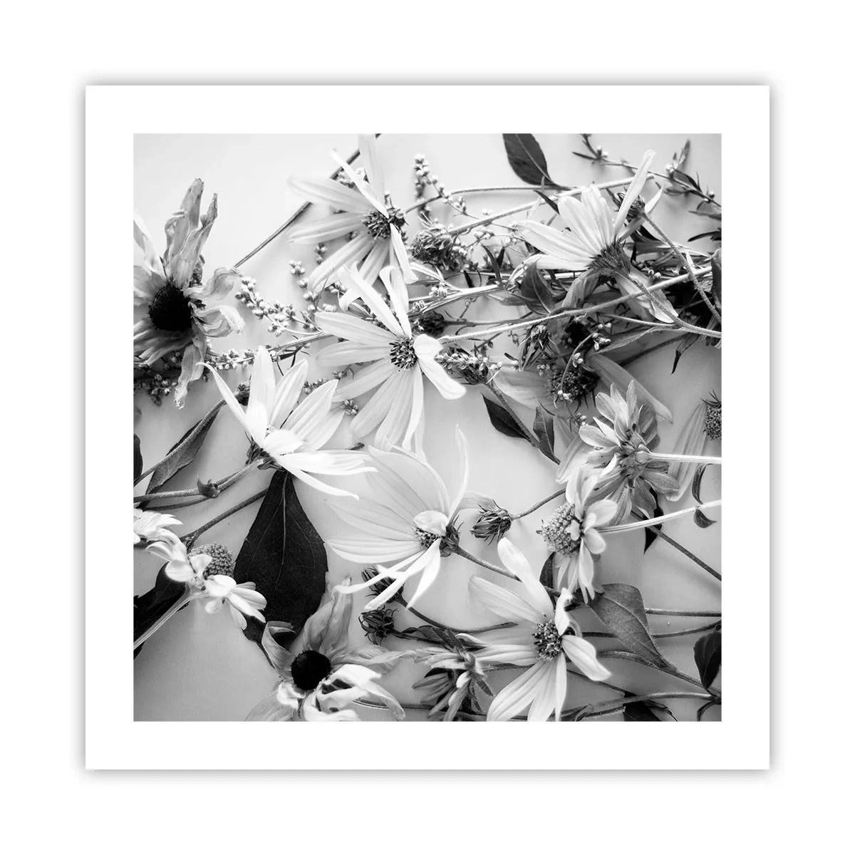 Affisch - Icke-blombukett - 50x50 cm
