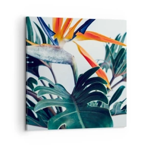 Canvastavla - Bild på duk - Fågelbuske - 50x50 cm