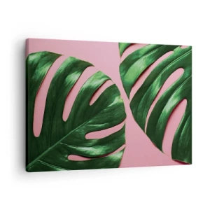 Canvastavla - Bild på duk - Gröna monsterablad på en rosa bakgrund - 70x50cm - Grön rendez-vous - Modern väggdekoration för vardagsrum och sovrum ARTTOR