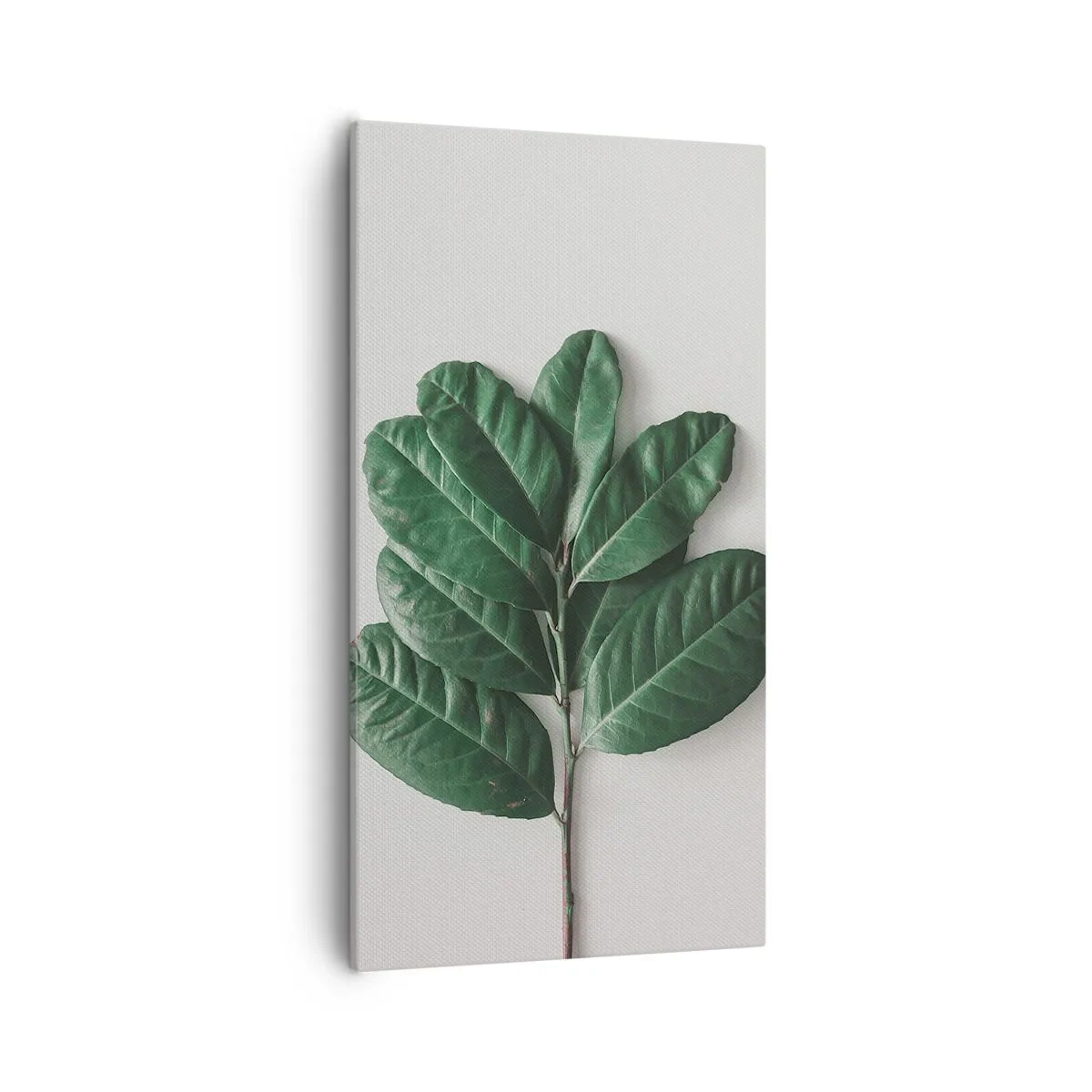 Canvastavla - Bild på duk - Själva naturens bild - 55x100 cm