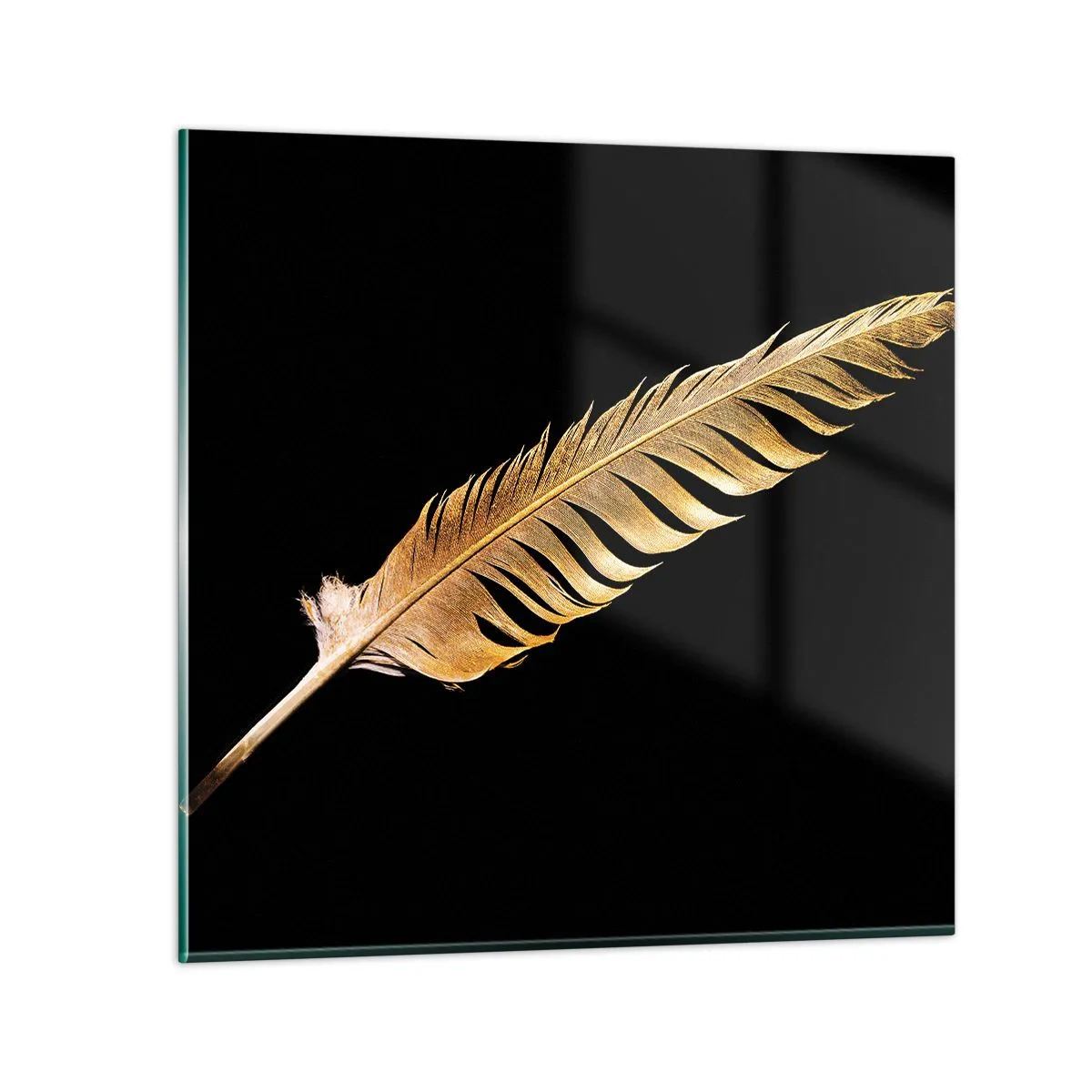 Glastavla - Bild på glas - Fjäder... - 60x60 cm