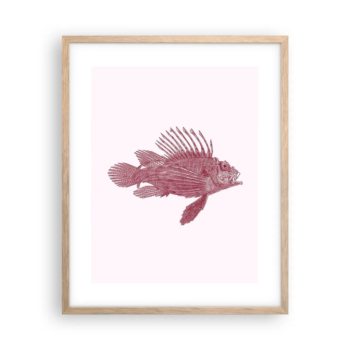 Affisch i ram av ljusek - En invånare i exotiska vatten - 40x50 cm