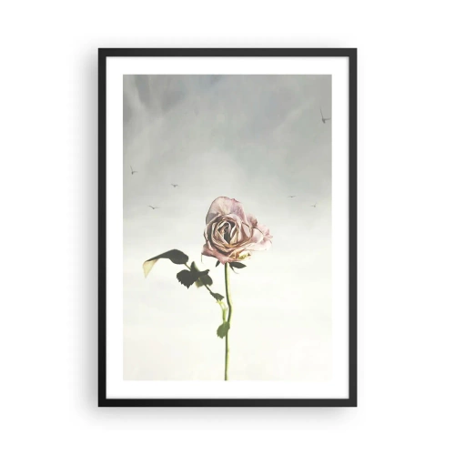 Affisch i svart ram - En subtil ros mot en delikat himmel - 50x70cm - Vårens välkomst - Modern väggdekoration för vardagsrum och sovrum ARTTOR