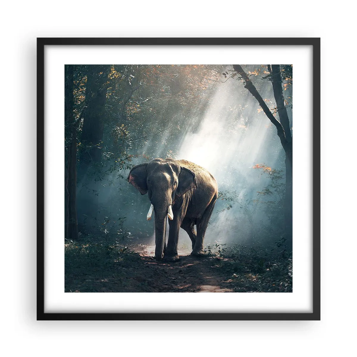 Affisch i svart ram - Lugn promenad - 50x50 cm