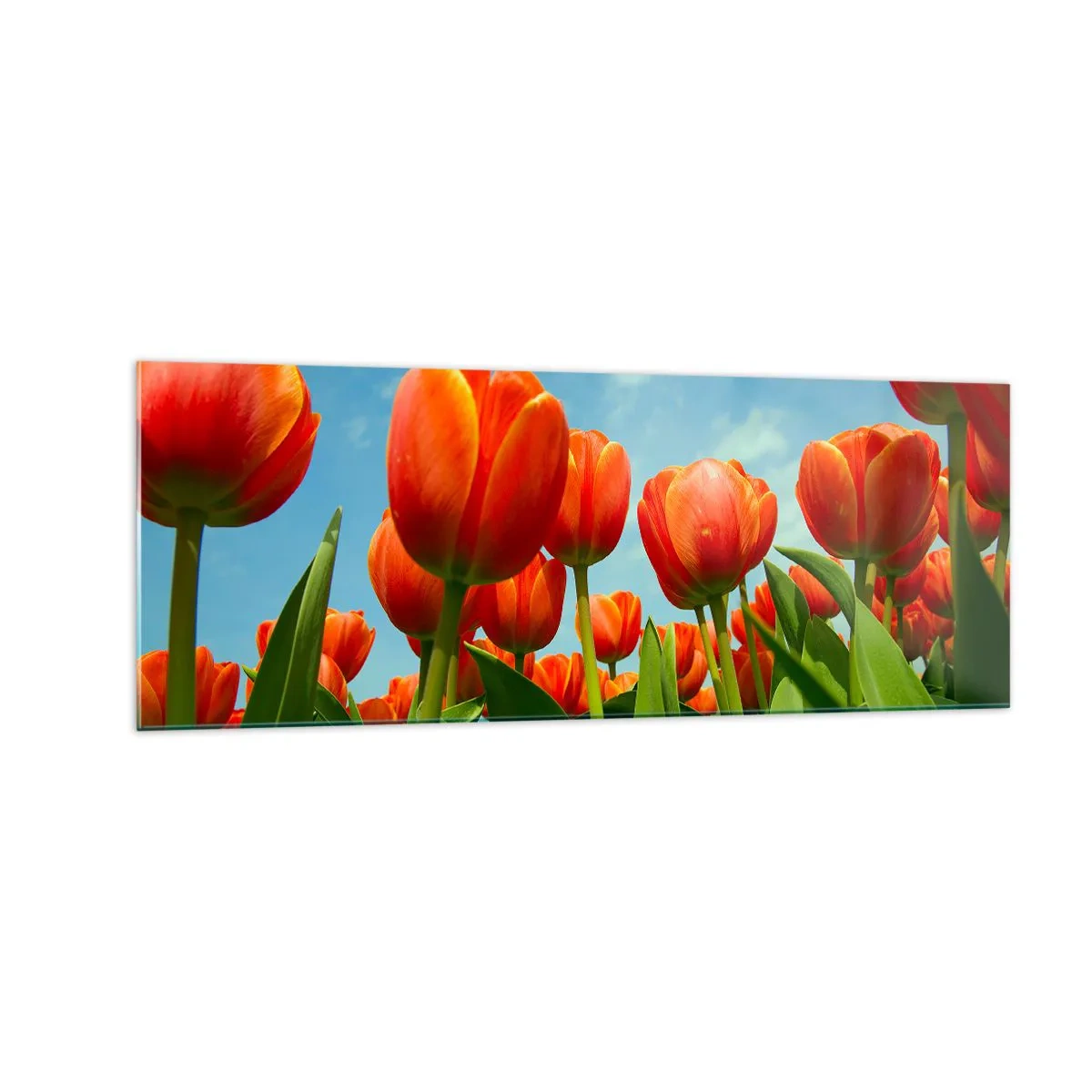 Glastavla - Bild på glas - Förutom blå himmel behöver vi inget annat i livet - 140x50 cm