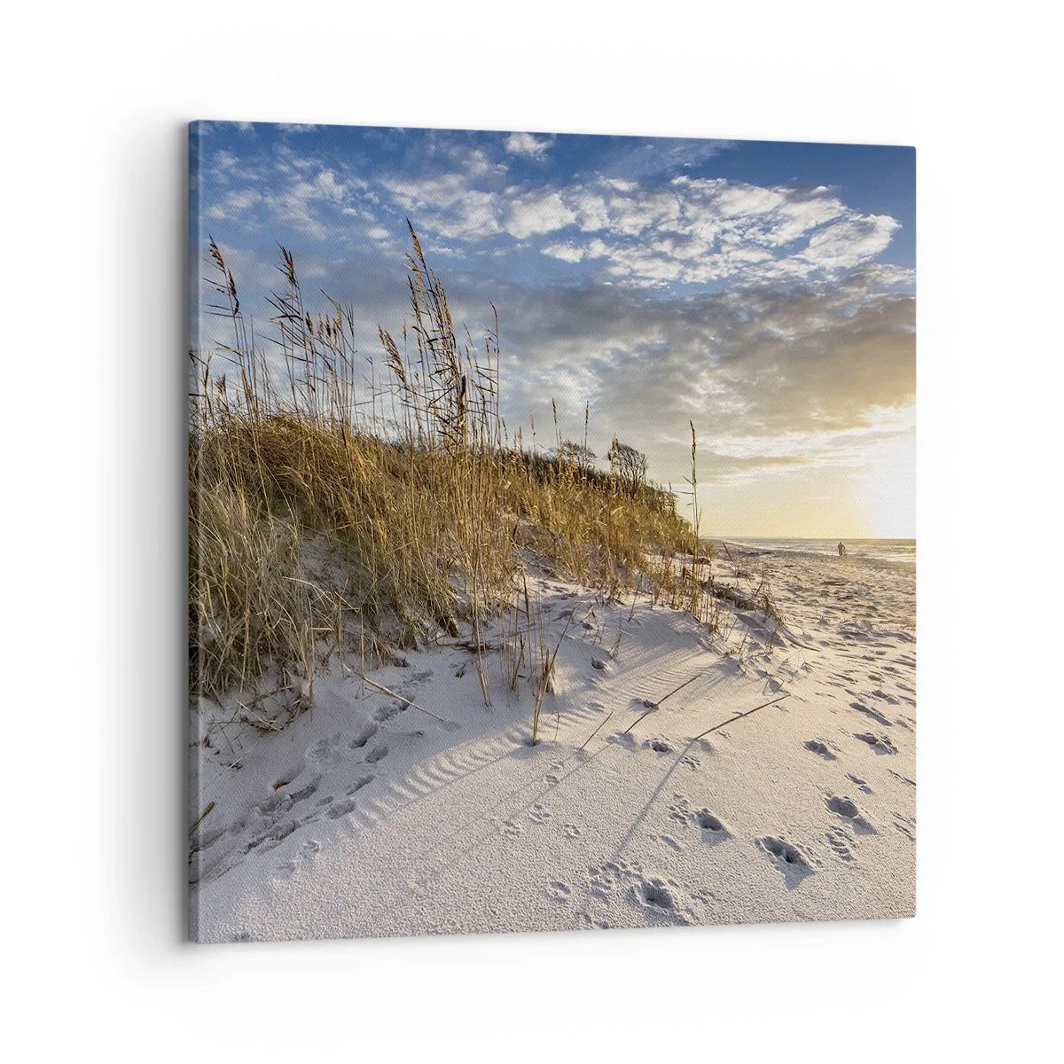 Canvastavla - Bild på duk - Inbjudan till promenad - 60x60 cm