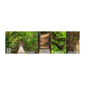 Provbit av självhäftande fototapet Deluxe Sticker - Ty trädgården är full av klätterväxter - Landskap, Skog, Natur - 100x30 cm