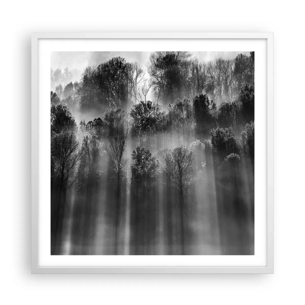 Affisch i vit ram - I ljusstrålar - 60x60 cm